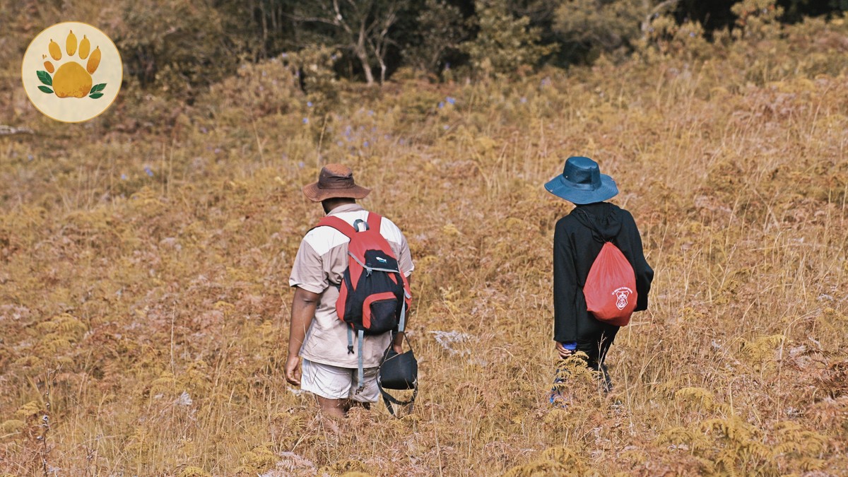 Can Solo Travelers Join Walking Safaris: 5 Ways - photo 1