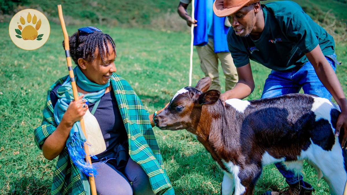 How Do Conservancy Fees Help Communities: 5 Benefits - photo 2