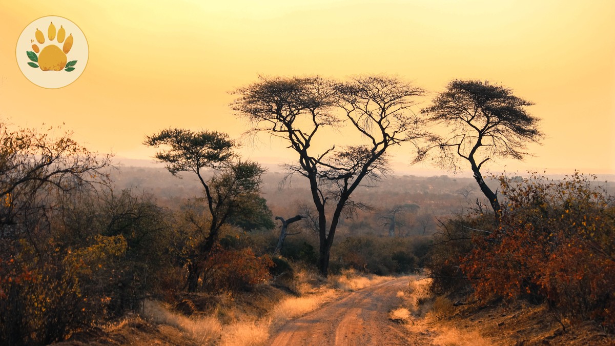 Cantonese Kenya Safari: 7-Day Costs and Itinerary Guide - photo 1