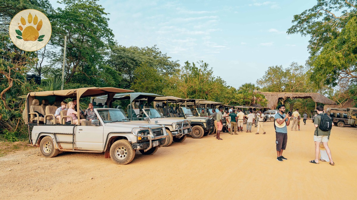 Kenya Safari Family Lodge Age Policies: 5 Key Rules - photo 1