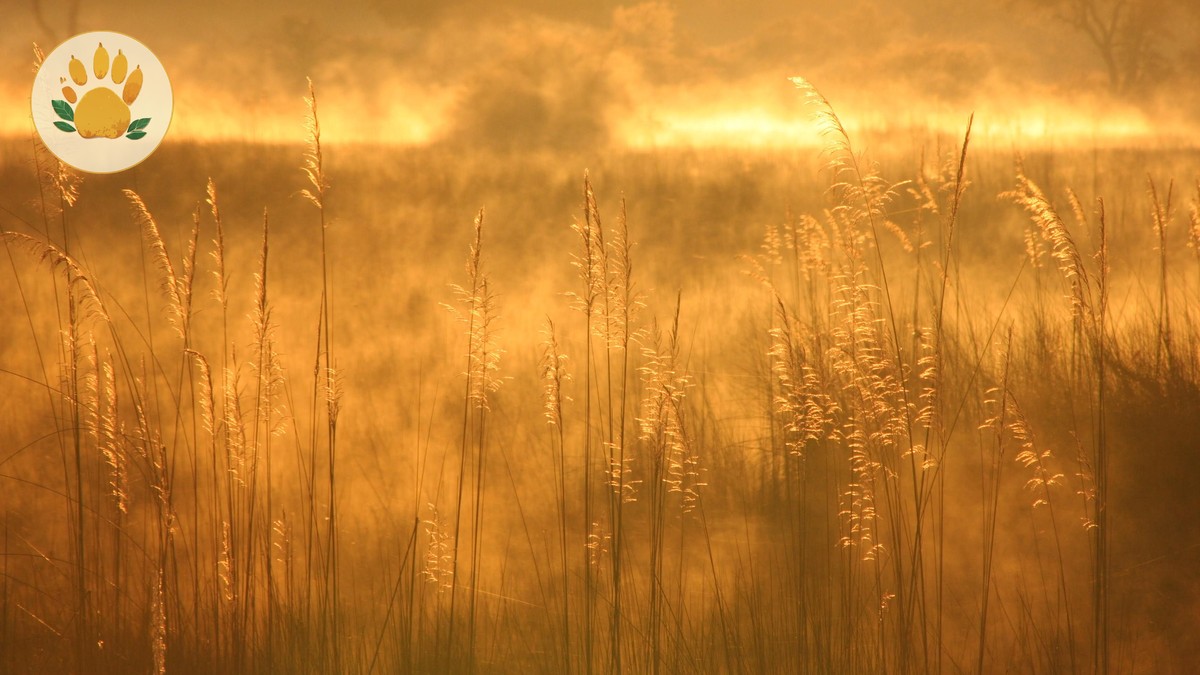 How Big Should Your Kenya Safari Group Be? - photo 1