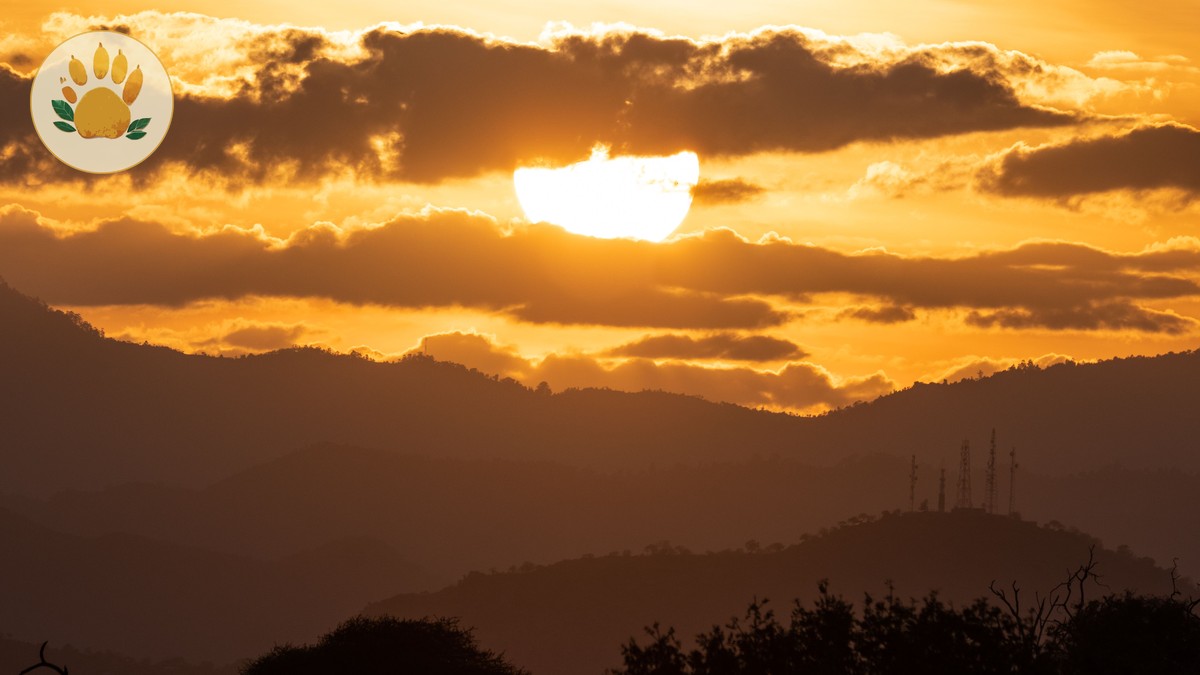 German-Speaking Kenya Safaris: What a 7-Day Trip Costs - photo 1