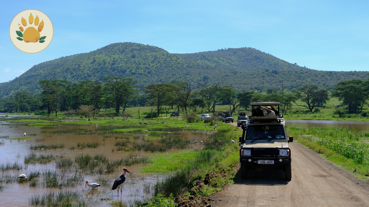 Kenya Safari Guide Italian Speakers: $90-$650/Day - photo 2
