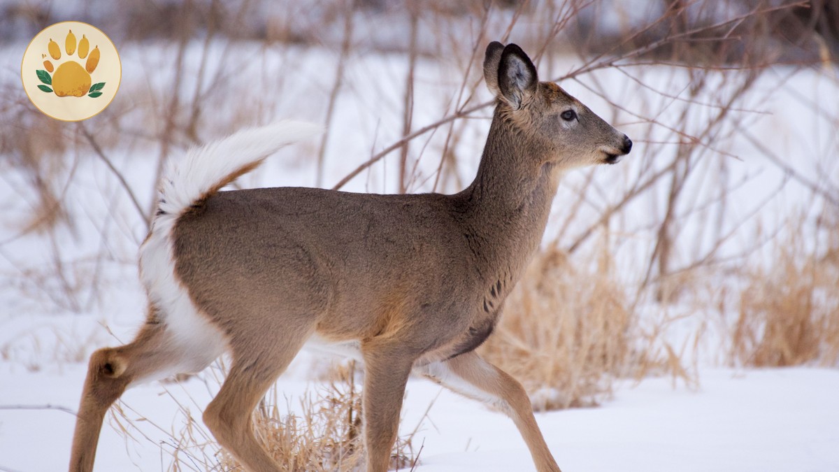 Laikipia Private Conservancy Costs: $350-$2,000 a Night - photo 2