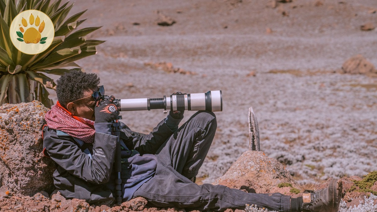 Maasai Mara Photography Season Guide: Best Months -- Photo by Christian Alemu on Pexels