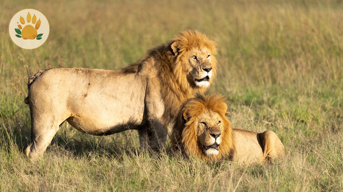Masai Mara Can Children See a Kill: Parent Tips -- Photo by Hugo Sykes on Pexels