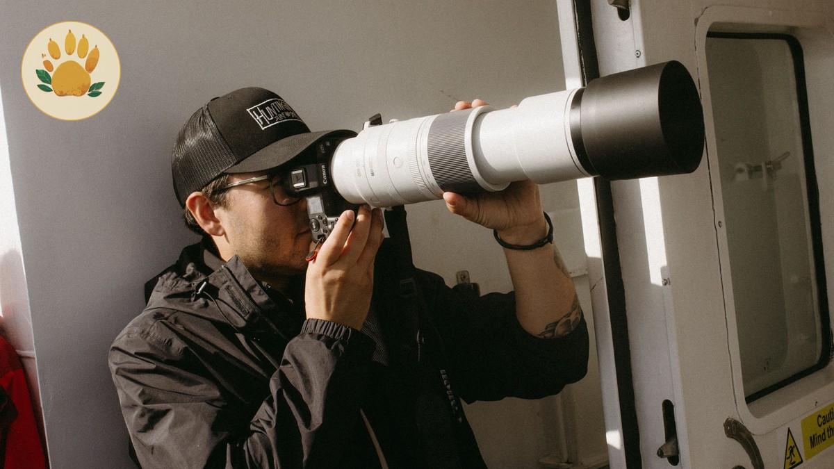 Ol Pejeta Photography Hide Guide: Costs and Access -- Photo by Jonathan Borba on Pexels